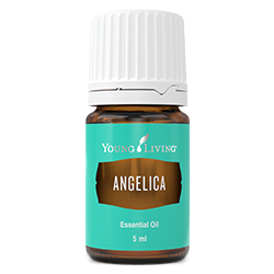 Angelica Young Living Essential Oil