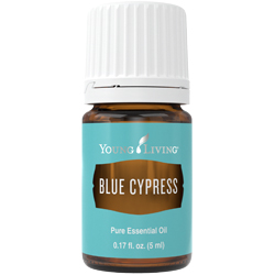 Blue Cypress Young Living Essential Oil