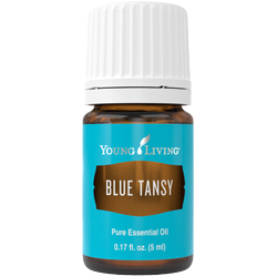 Blue Tansy Young Living Essential Oil