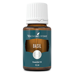 Basil Young Living Essential Oil